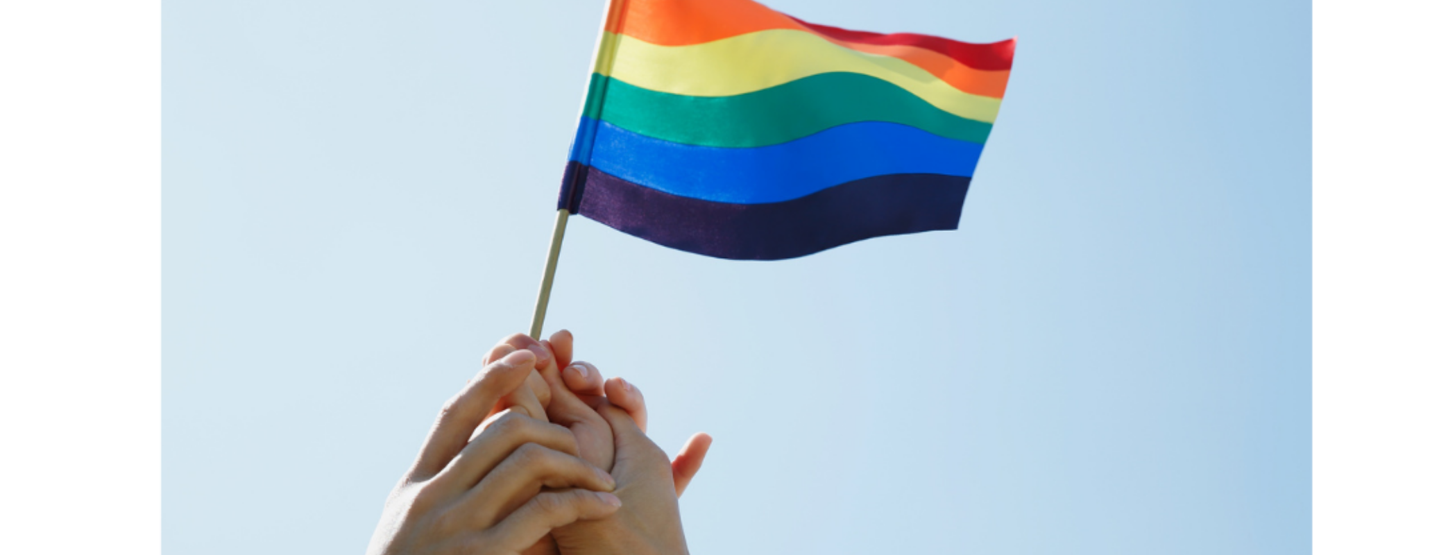 LGBTQ and Mental Health Factsheet